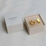 Jewelry - SMALL GOLDEN EARRINGS LIGNIS WIDE - JOIDART
