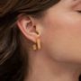 Jewelry - MEDIUM GOLDEN EARRINGS LIGNIS WIDE - JOIDART