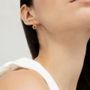 Jewelry - HOOK GOLDEN EARRINGS CANDY COLOURS - JOIDART