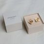 Jewelry - PAMPALONIA GOLDEN EARRINGS - JOIDART
