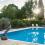 Outdoor decorative accessories - Swimming sculptures - DAWN CONN SCULPTURE LIMITED