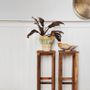 Console table - Recycled wooden side table - MADAM STOLTZ