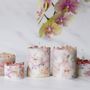 Candles - Blush 10 - KOTT
