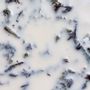 Candles - Among the Willows 10 - KOTT