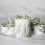 Candles - Evolve 30 - KOTT