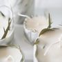 Candles - Evolve 10 - KOTT