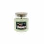 Candles - 145g Colored Wax Candle Under the Fig Tree - LES LUMIERES DU TEMPS