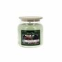 Candles - Colored Wax Candle 430 g Under the Fig Tree - LES LUMIERES DU TEMPS
