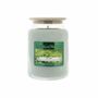 Bougies - Bougie Cire Colorée 670 g Thé Vert - LES LUMIERES DU TEMPS