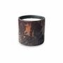 Candles - Lisboa Candle 1.8kg Cocoon of Softness - LES LUMIERES DU TEMPS