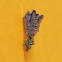 Brooches - Pin Lavender - PINPINPIN.IT
