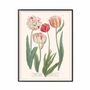 Affiches - Planche Fleur Tulipes - LES JOLIES PLANCHES