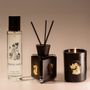 Diffuseurs de parfums - Diffuseur d'ambiance SECRET OF SUCCESS - STATE OF MIND