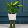 Vases - Bitten Design - Planters & Vases - LA PETITE CENTRALE