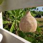 Hanging lights - The Lobster Trap Pendant - Natural - L - BAZAR BIZAR LIVING