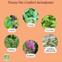Coffee and tea - Menopause Comfort Organic Herbal Tea - Ritual No. 10 - BULK - 60 g = 4 - PRÈS DES REINES
