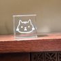 Decorative objects - Schrödinger's Cat - LE DIGRAPHE