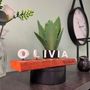 Customizable objects - 30 Years: Pearl Anniversary Digraph - LE DIGRAPHE