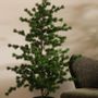 Floral decoration - CEDRE ATLANTICA - LOU DE CASTELLANE