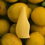 Objets design - Moyen vase Légume - ATELIER MAHD