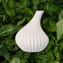 Objets design - Petit vase Légume - ATELIER MAHD