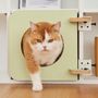 Shelves - Cat Clamp Collection – Modular Pet Furniture - POOCH & PURRR DESIGN