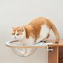 Shelves - Cat Clamp Collection – Modular Pet Furniture - POOCH & PURRR DESIGN