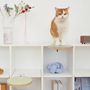 Shelves - Cat Clamp Collection – Modular Pet Furniture - POOCH & PURRR DESIGN