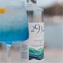 Épicerie fine - 2934 Gin - 2934 GIN