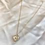 Jewelry - Necklace Monarch Butterfly - Gold plated - FASCINATO