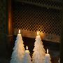 Objets de décoration - Bougie "Sapin" - CIERGERIE DES PREMONTRES