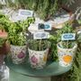 Vases - TASSES BELDI TASSE NESPRESSO - CHABI CHIC