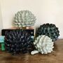 Objets de décoration - Objet décoratif "Artichaut vert" - GALERIE SANA MOREAU