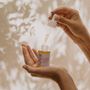 Soaps - FACE OIL | blueberry + squalane - AZUR NATURAL BODY CARE