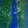 Paintings - "JungleMirror" – large-scale acrylic painting (146 x 89 cm) on canvas - TURIK&ART (KSENIIA TURIK)