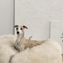 Lits - Lit Ovale pour Animal en Peau de Mouton Naturelle – Blanc - MELLOW CONCEPT STORE