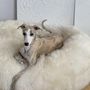 Lits - Lit Ovale pour Animal en Peau de Mouton Naturelle – Blanc - MELLOW CONCEPT STORE