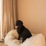 Lits - Lit Ovale pour Animal en Peau de Mouton Naturelle – Blanc - MELLOW CONCEPT STORE