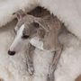 Lits - Grotte pour Animal en Peau de Mouton Naturelle – Blanche - MELLOW CONCEPT STORE