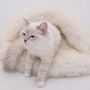 Lits - Grotte pour Animal en Peau de Mouton Naturelle – Blanche - MELLOW CONCEPT STORE