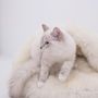 Lits - Grotte pour Animal en Peau de Mouton Naturelle – Blanche - MELLOW CONCEPT STORE