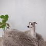 Lits - Lit Ovale pour Animal en Peau de Mouton Naturelle – Greige - MELLOW CONCEPT STORE