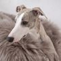 Lits - Lit Ovale pour Animal en Peau de Mouton Naturelle – Greige - MELLOW CONCEPT STORE