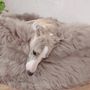 Lits - Lit Ovale pour Animal en Peau de Mouton Naturelle – Greige - MELLOW CONCEPT STORE
