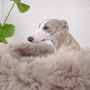 Lits - Lit Ovale pour Animal en Peau de Mouton Naturelle – Greige - MELLOW CONCEPT STORE