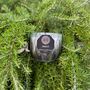 Candles - Handcrafted Luxury Soy Wax Candle - Drias - ANĀSA COLLECTION