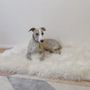 Lits - Tapis Carré ou Rectangulaire en Peau de Mouton Naturelle – Blanc - MELLOW CONCEPT STORE