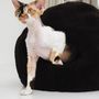 Beds - Nest Natural Sheepskin Pet Bed - Brown - MELLOW CONCEPT STORE