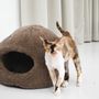 Beds - Nest Natural Sheepskin Pet Bed - Beige - MELLOW CONCEPT STORE
