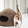 Beds - Nest Natural Sheepskin Pet Bed - Beige - MELLOW CONCEPT STORE